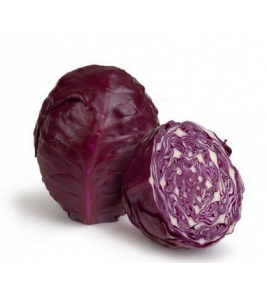 REPOLHO ROXO