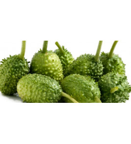 MAXIXE