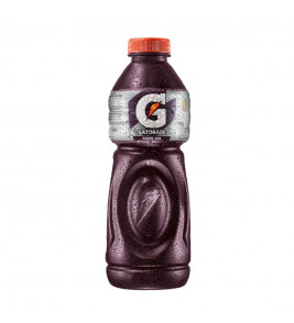 GATORADE UVA 500ML