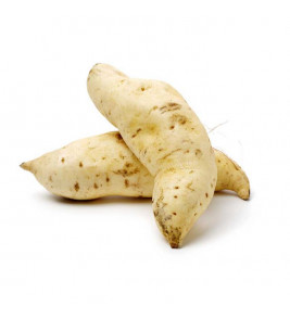BATATA DOCE