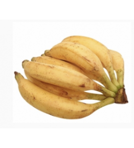 BANANA DA TERRA