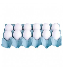 OVOS DE GRANJA BANDEJA